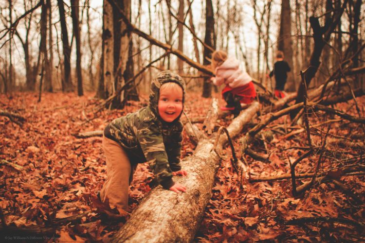 Hiking Through the Woods