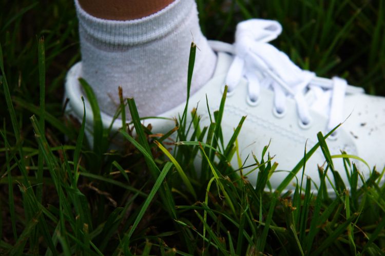Grassy Shoe