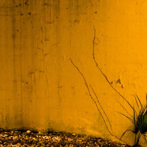 Gallery Yellow A Different View