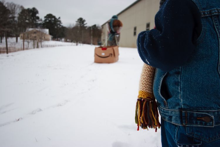 Alabama Snow