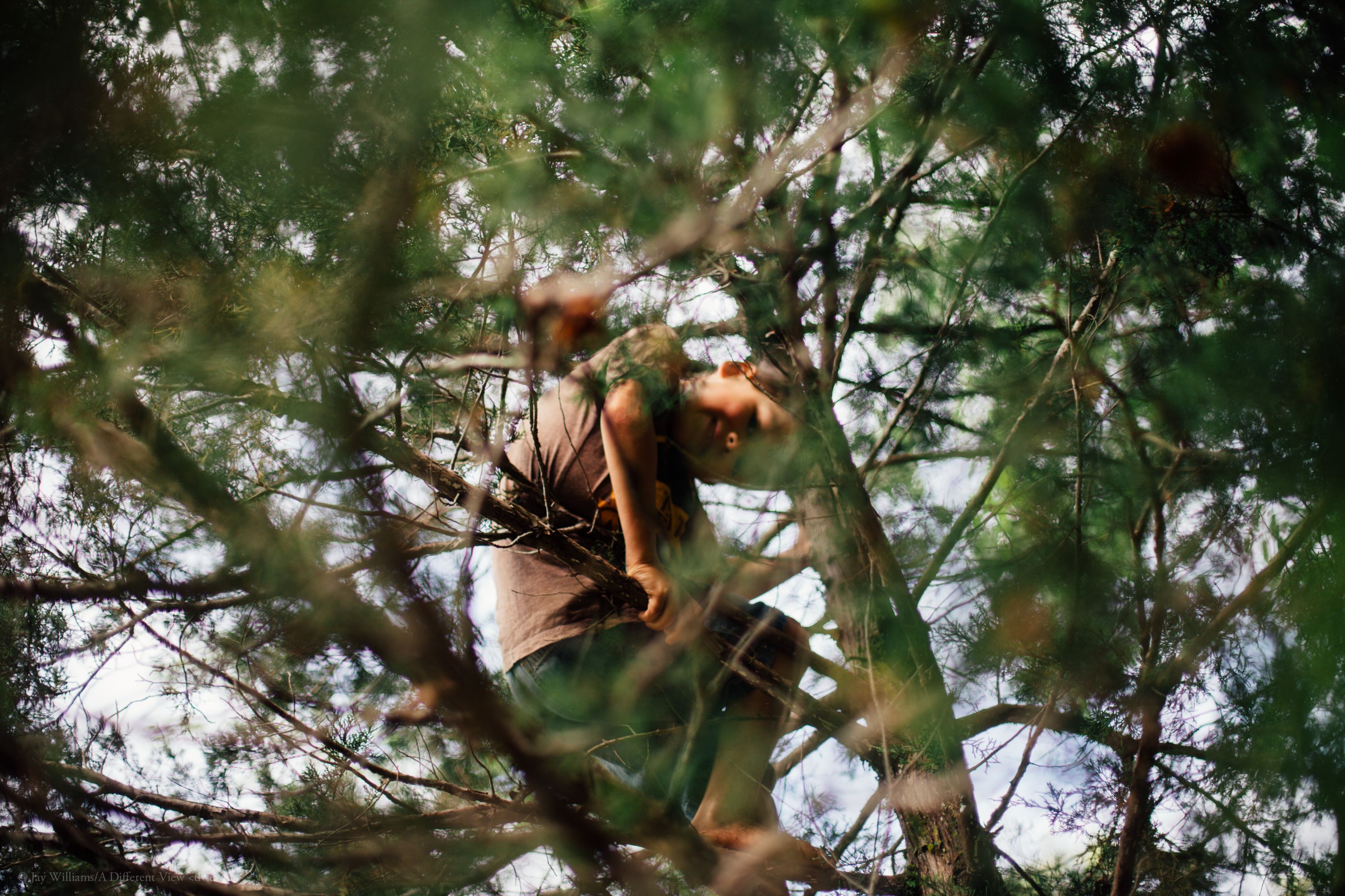 Realtree Climber - fq8rstc